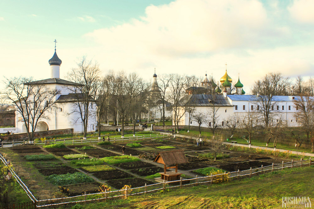 Apothecary's Gardens, Spaso-Yevfimiev Monastery (November 2008)