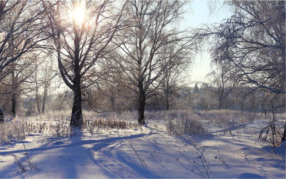Winter karelia 2