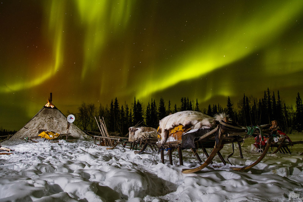 Northern Lights, Republic of Komi - Alexander Fedorov