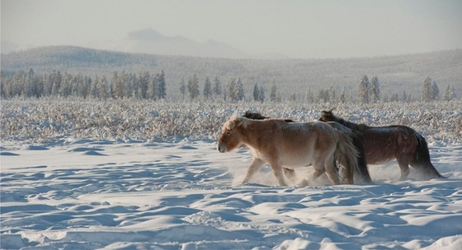 Yakutia in Winter © Bolot Bochkaryov