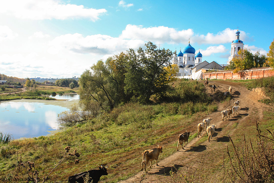 The Bogolybsky Monastery
