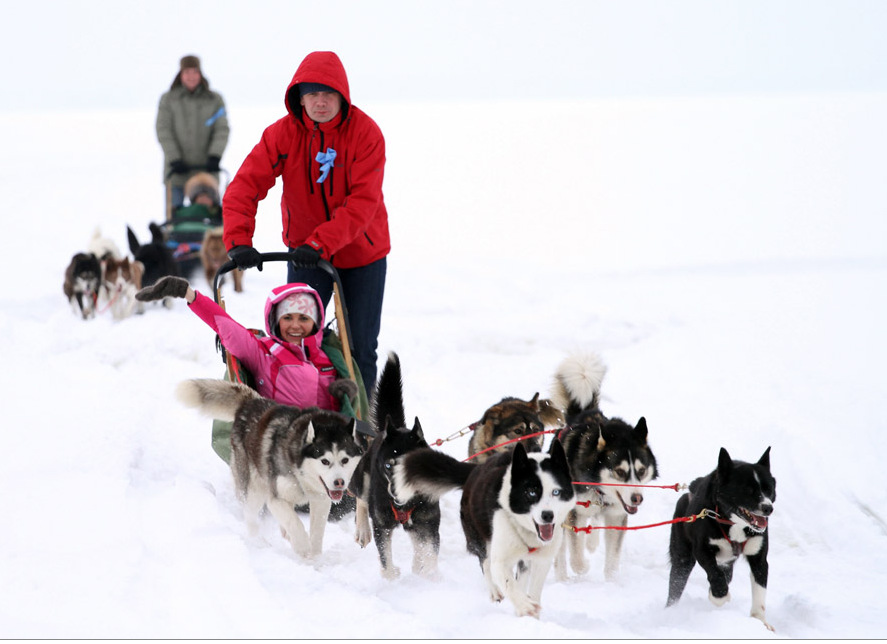 Dof-Sledding in Karelia