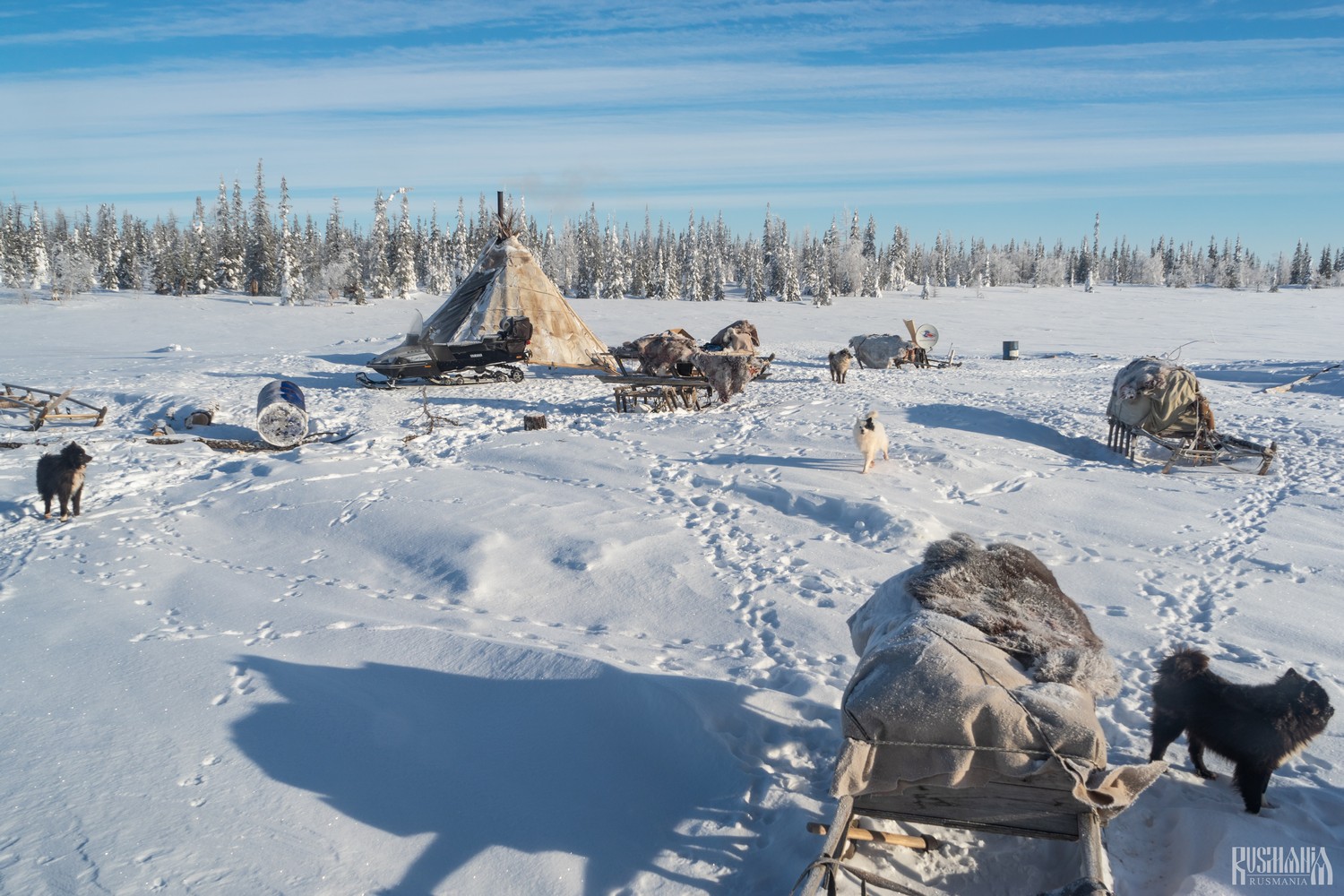 Yamal Peninsula