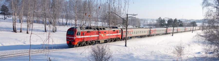 Train winter