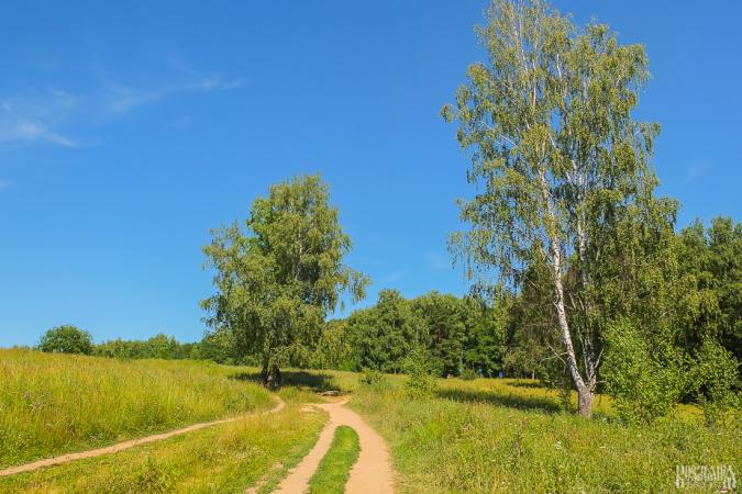 Bitsevsky Forest Natural and Historical Park (July 2014)